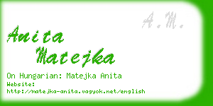 anita matejka business card